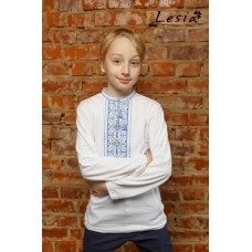 Embroidered t-shirt with long sleeves "Carpathian" blue